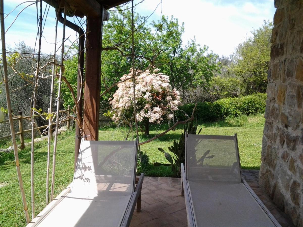 Agriturismo Casa Fibbianello Semproniano Extérieur photo