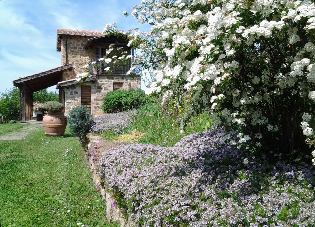 Agriturismo Casa Fibbianello Semproniano Extérieur photo