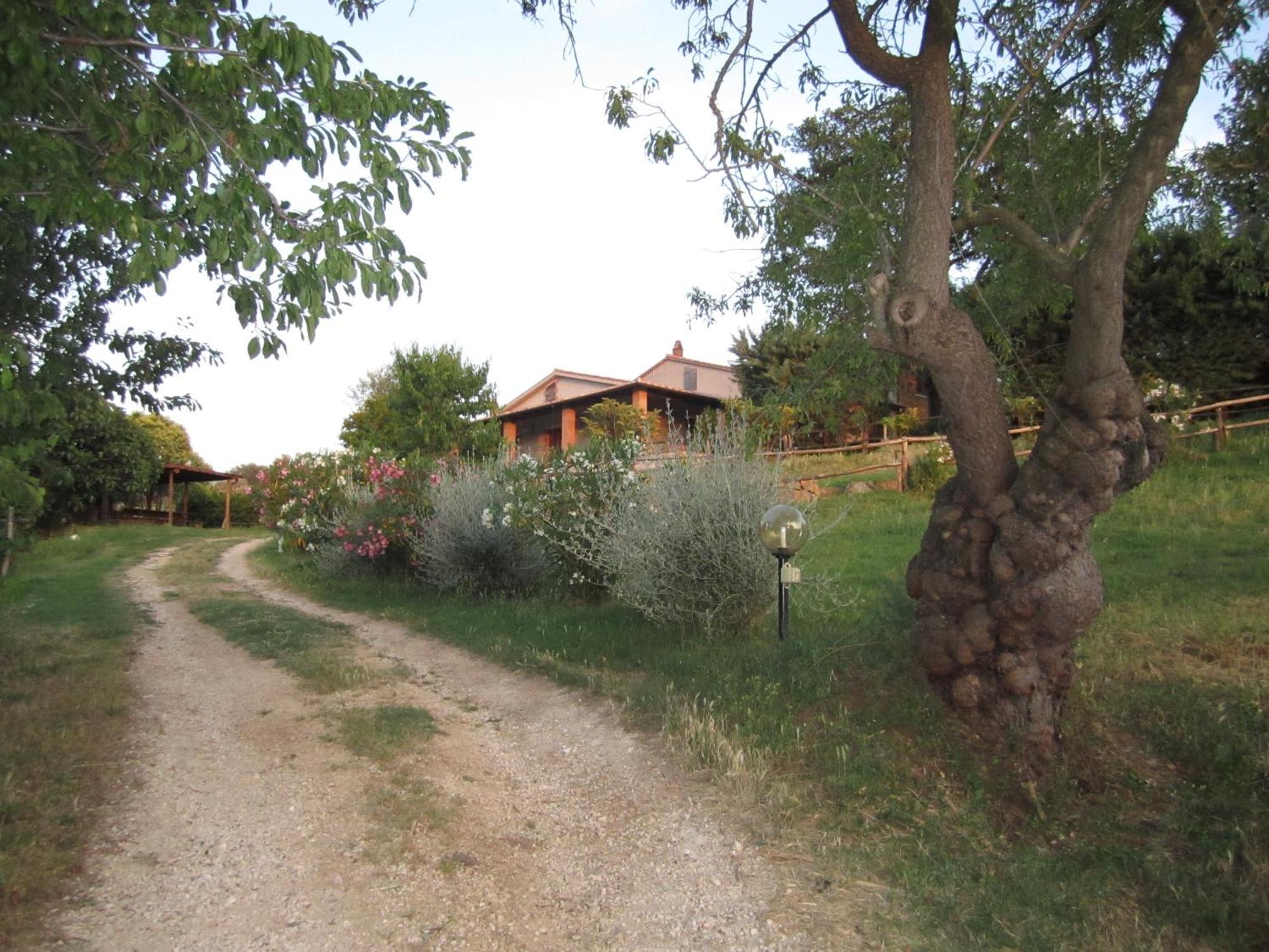 Agriturismo Casa Fibbianello Semproniano Extérieur photo