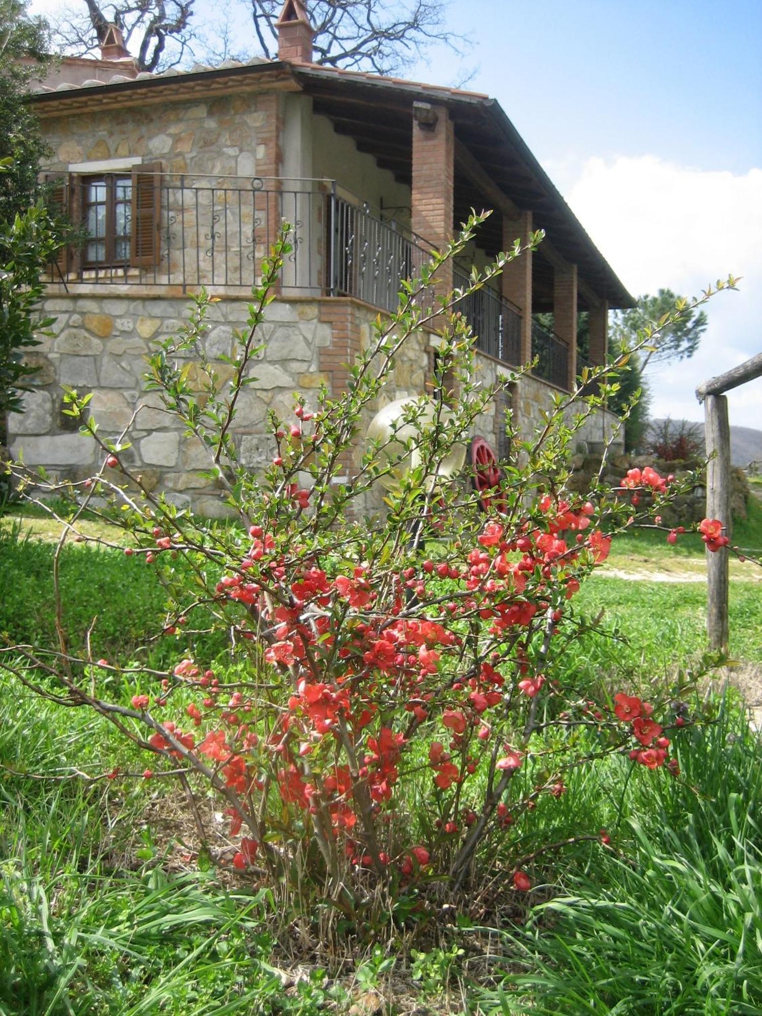 Agriturismo Casa Fibbianello Semproniano Extérieur photo