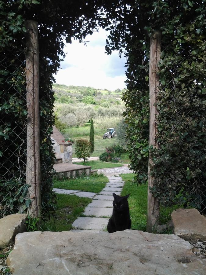 Agriturismo Casa Fibbianello Semproniano Extérieur photo